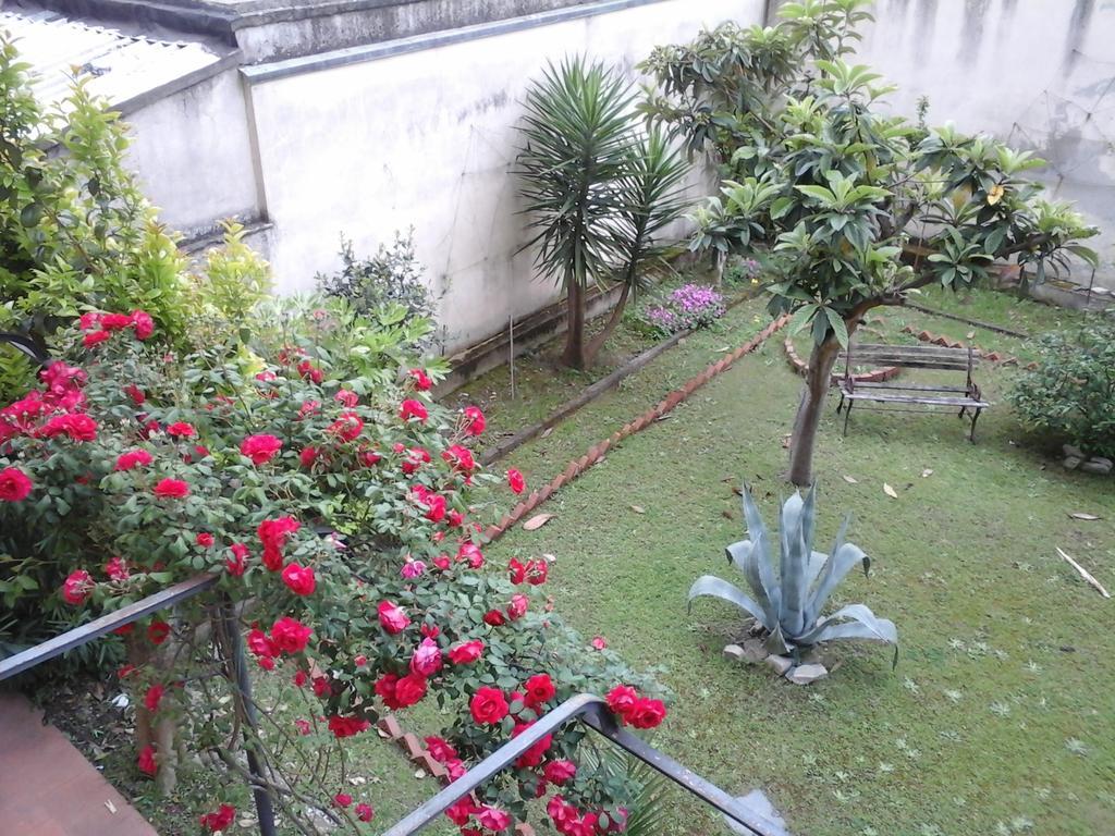 Apartment Casa Mia